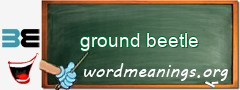 WordMeaning blackboard for ground beetle